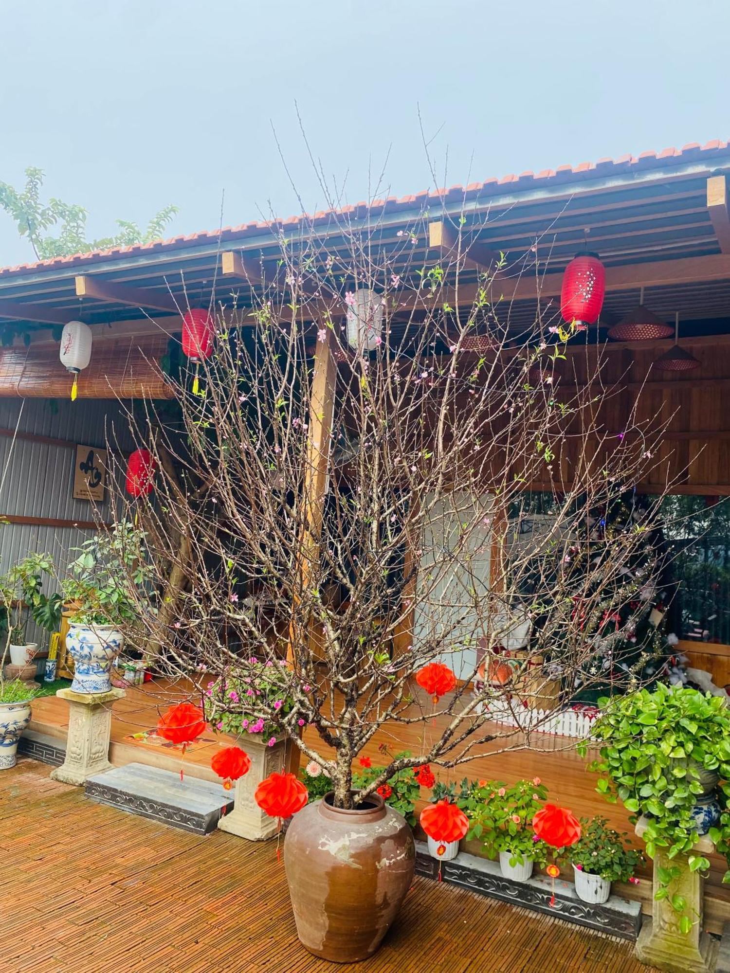 An Homestay Tam Coc Ninh Binh Eksteriør bilde