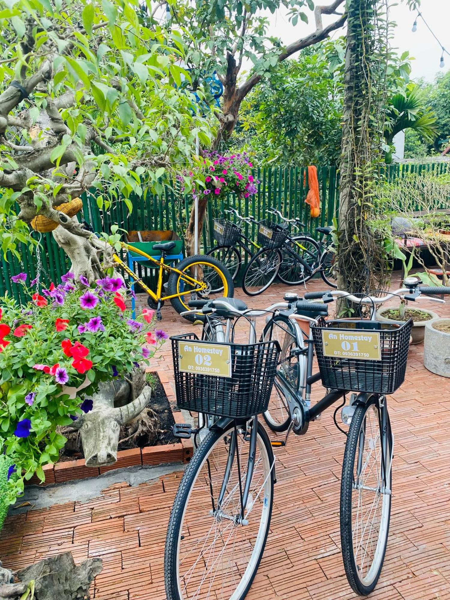 An Homestay Tam Coc Ninh Binh Eksteriør bilde